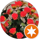 Darvin Pappachan profile picture