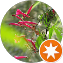 Muhammed Yaseen profile picture