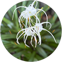 Foodie profile picture